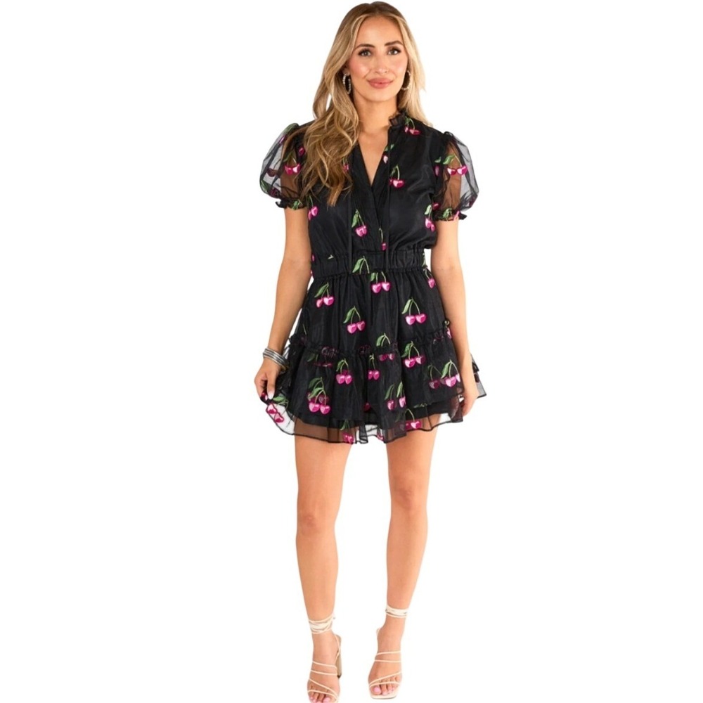 BuddyLove Black Cherry Embroidered Organza Mini Dress Puff Sleeve Small NWOT $80